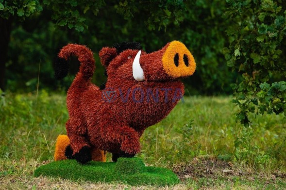 Топиари кабан Валери — газон Eco