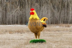 Топиари курочка Золотинка — газон Eco + Deluxe