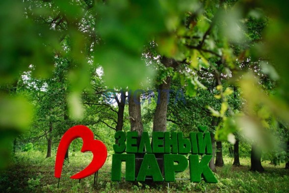 Топиари композиция Зеленый парк — газон Есо