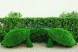 Топиари композиция черепахи — газон Eco