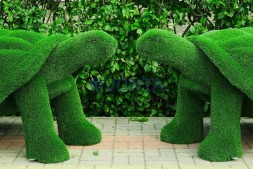 Топиари композиция черепахи — газон Eco