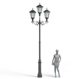 Пушкин (варианты исполнения)