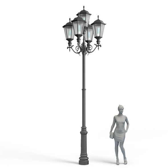 Пушкин (варианты исполнения)