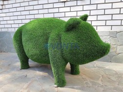 Топиари поросенок толстый, модель 2 — газон Eco