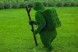 Топиари медведь с кашпо, турист — газон Eco