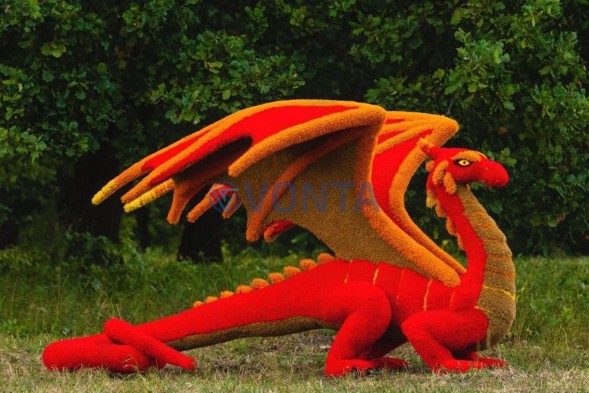 Топиари дракон — газон Eco