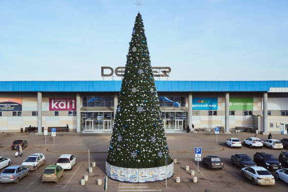 Сосна каркасная «Уральская» - 23 м