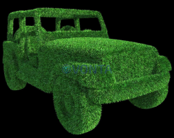 Топиари джип L=100см — гахон Есо