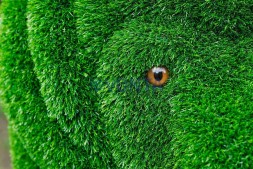 Топиари лев Луи — газон Eco