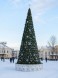 Уличная каркасная сосна «Уральская» 22 м