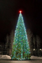 Ель каркасная «Евро» - 12 м