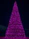 Уличная каркасная елка «Уральская Светодинамическая RGB» 25 м