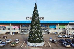 Сосна каркасная «Уральская» - 20 м