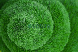 Топиари улитка Малышка — газон Eco