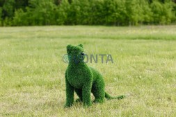 Топиари кошка Клара — газон Eco