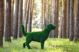 Топиари собака охотничья — газон Eco