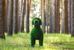 Топиари собака охотничья — газон Eco