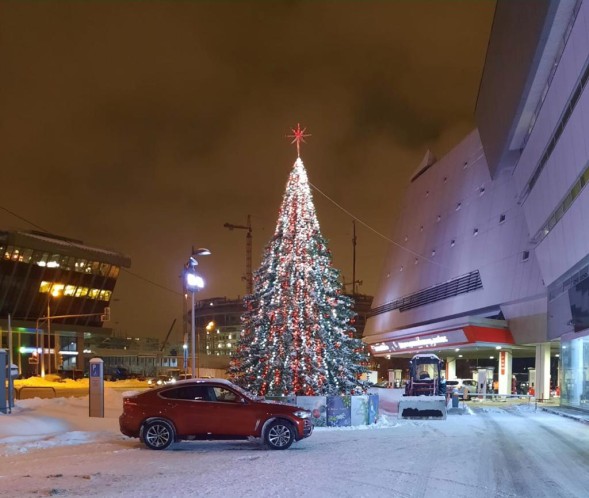 Ель «Кремлевская» - 27 м