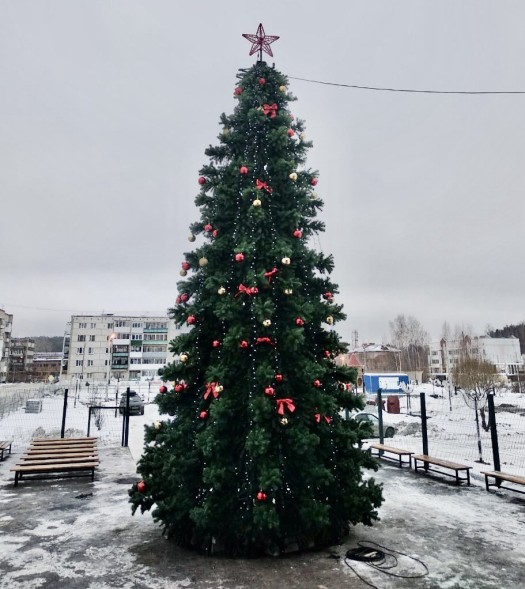 Ель «Беловежская» - 21 м