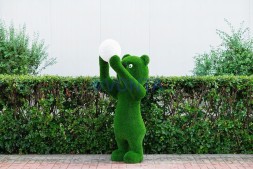 Топиари медведь с мячиком — газон Eco