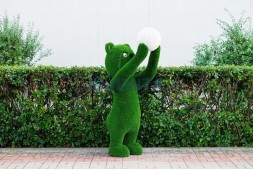 Топиари медведь с мячиком — газон Eco