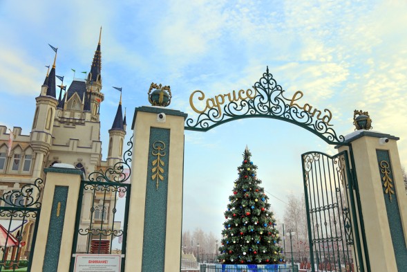 Ель «Кремлевская» - 28 м