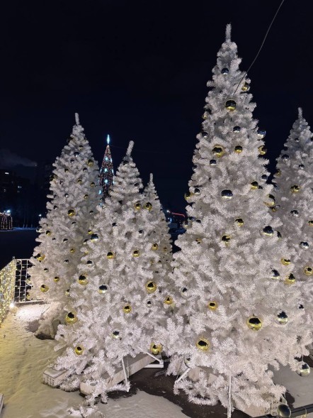 Ель «Рождественская» Белая - 4 м