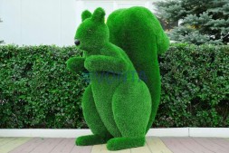 Топиари белка Лора — газон Deluxe Green