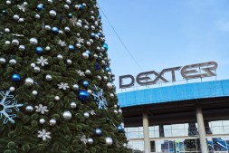 Сосна каркасная «Уральская» - 16 м