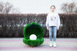 Топиари ракушка — газон Eco Green
