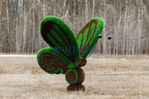 Топиари бабочка Какао — газон Eco