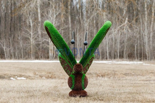 Топиари бабочка Какао — газон Eco