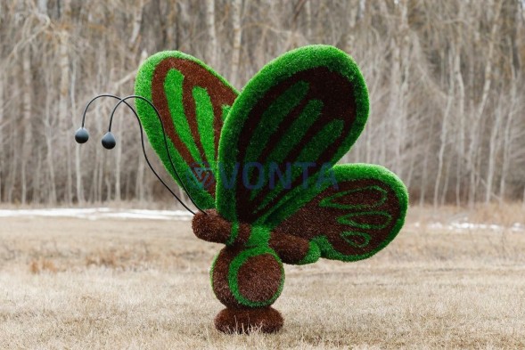 Топиари бабочка Какао — газон Eco