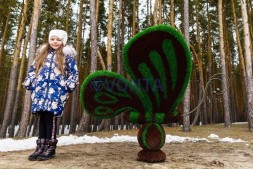 Топиари бабочка Какао — газон Eco