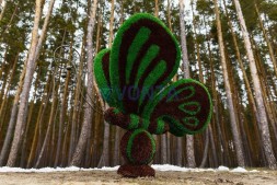 Топиари бабочка Какао — газон Eco