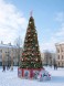 Уличная каркасная елка «Евро» 19 м