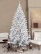 Ель «Рождественская» Белая - 5 м