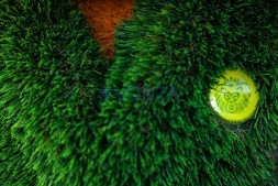 Топиари лисенок футболист, h=170см — газон Deluxe + Eco