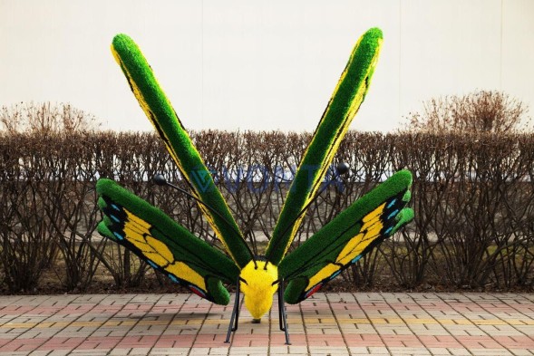 Топиари бабочка Барбариска — газон Eco