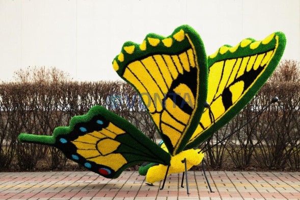 Топиари бабочка Барбариска — газон Eco