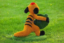 Топиари сурикат Гансало — газон Eco