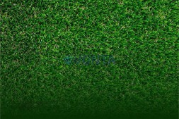Топиари зайцы — СРАВНЕНИЕ ГАЗОНОВ — Eco, Premium, Deluxe