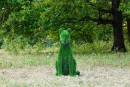Топиари кошка Сметанка — газон Eco