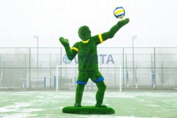 Топиари волейболист — газон Deluxe