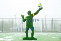 Топиари волейболист — газон Deluxe