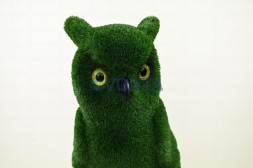 Топиари композиция сова на книге — газон Deluxe Green
