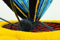 Топиари композиция бабочка Морфо на подсолнухе — газон Eco