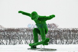 Топиари скейтер — газон Eco Green