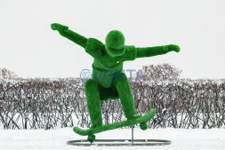 Топиари скейтер — газон Eco Green