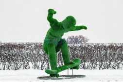 Топиари скейтер — газон Eco Green